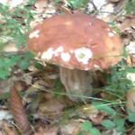 Meuble Barancio *