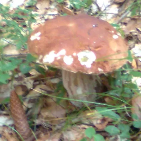 Meuble Barancio *