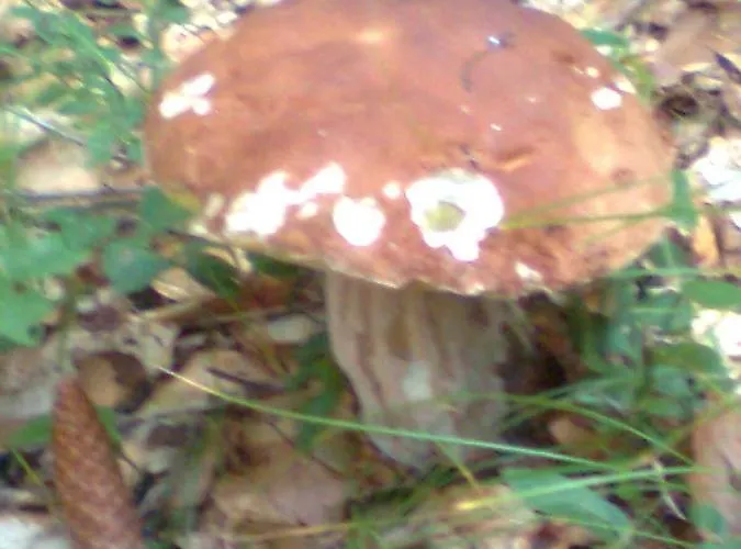 Meuble Barancio *